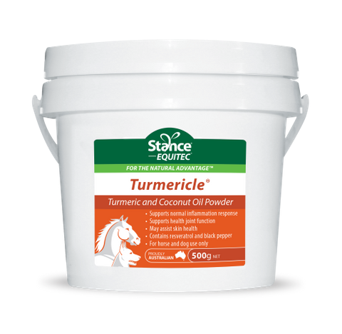 EQUITEC Turmericle 500g