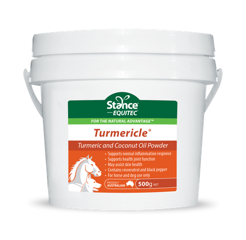 EQUITEC Turmericle 500g