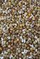 Hard Wheat 20kg