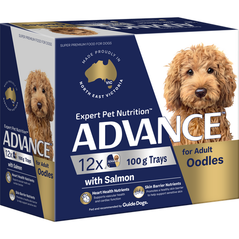 ADVANCE Single Serve Wet Dog Adult Oodles 12x100g