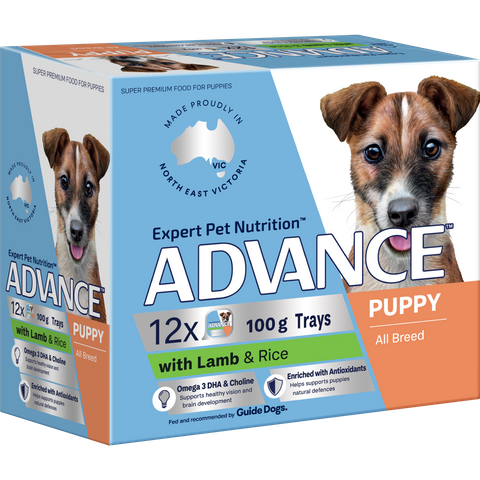 ADVANCE Single Serve Wet Dog Puppy Lamb with Rice 12x100g