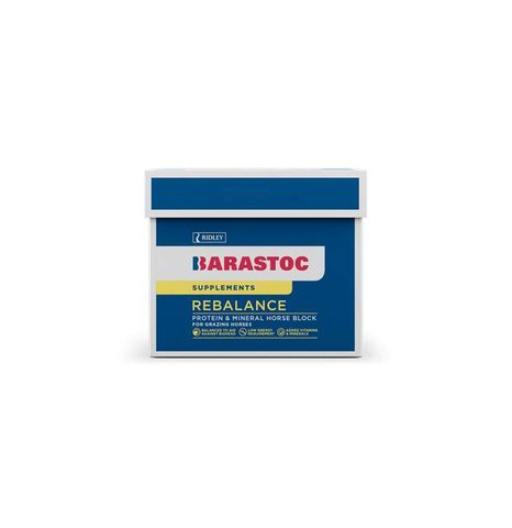 BARASTOC Rebalance Horse Block 20kg