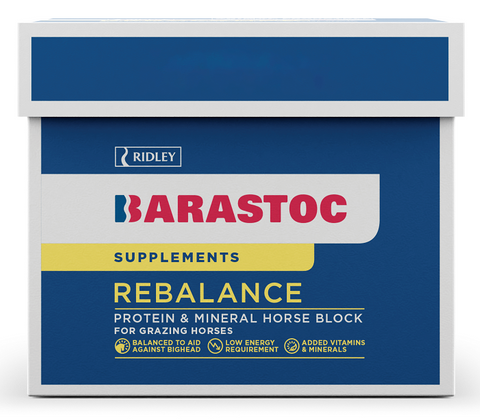 BARASTOC Rebalance Horse Block 20kg