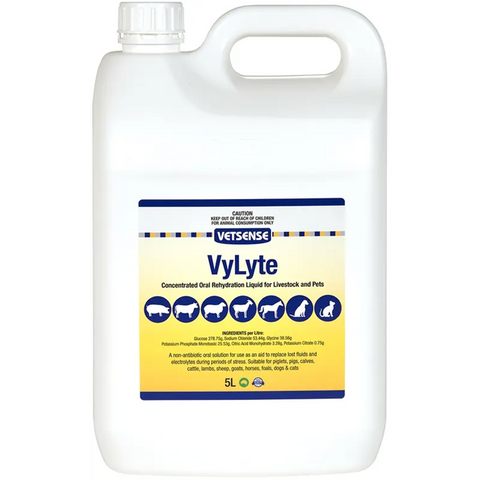 VETSENSE Vylyte 5lt