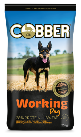 COBBER Working Dog 20kg  (36)