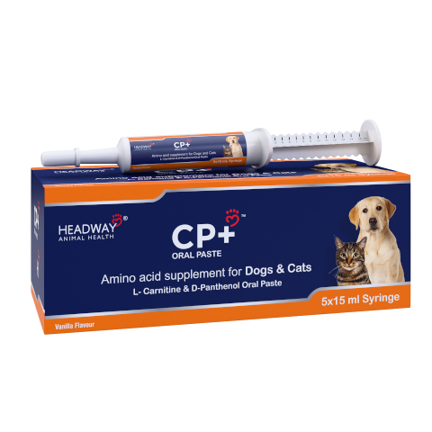 HEADWAY Cp+ for Dogs and Cats Syringe 15ml  (5)