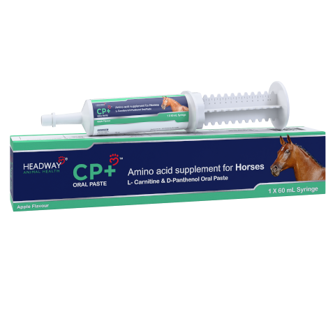 HEADWAY CP+ for Horses Syringe 60 ml
