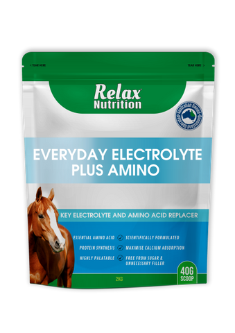 RELAX Everyday Electrolyte + Amino 5kg