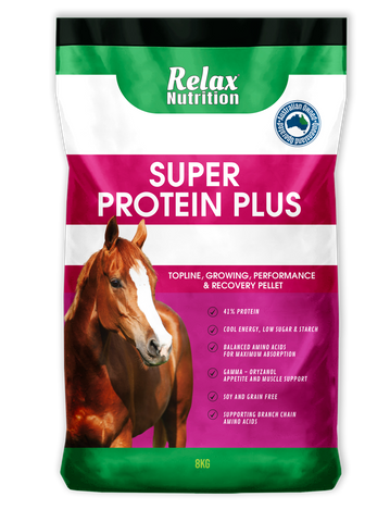 RELAX PROTEIN Plus 20kg