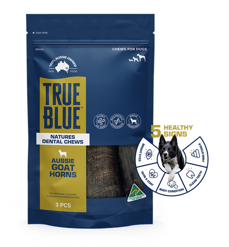 True Blue Aussie Goat Horns 3pk  (7)