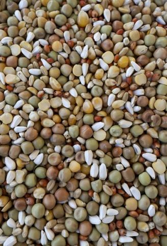 IAN MCKAY Race Popcorn 20kg