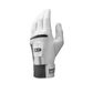 Golf Smart Glove