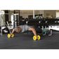 SKLZ Fitness Corewheels