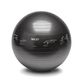 SKLZ Fitness Swiss Ball 65cm (with images) l