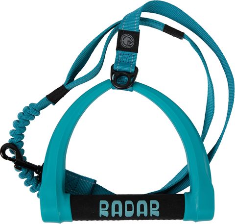 2025 RADAR DOG LEASH