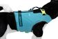 2026 RADAR DOG VEST