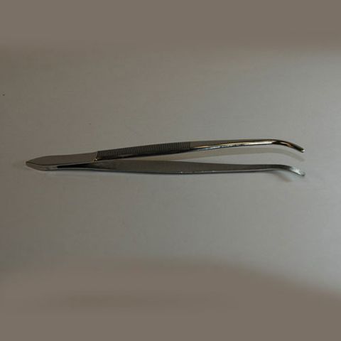 Forceps thumb blunt curved 100mm