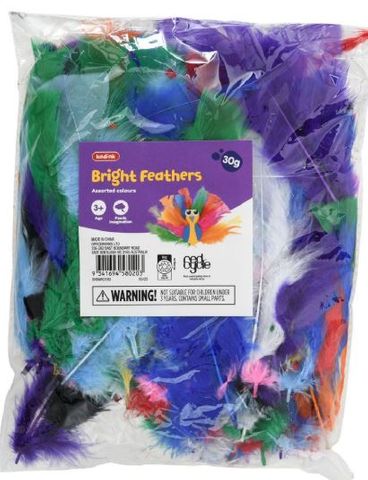 Feathers Bright Assorted 30g