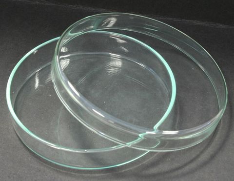 Petri dish soda glass 100x20mm Simax