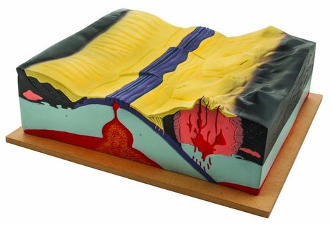 Tectonics model