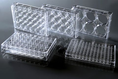 Culture plate 96 wells sterile PS