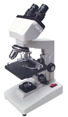 Microscope Binocular Economy 4x10x40x100