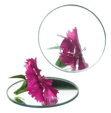 Mirror concave 100mm dia. FL 100mm