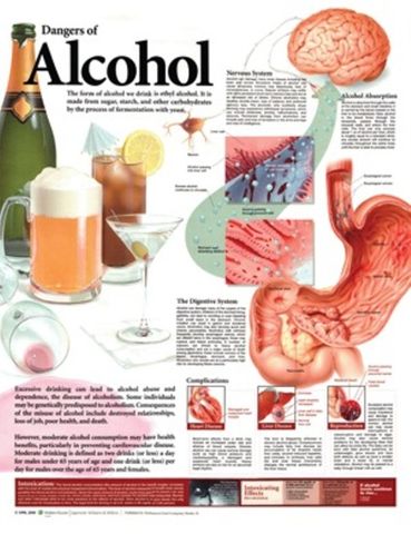 Chart Dangers of Alcohol