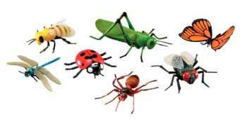 Jumbo Insects set of 7