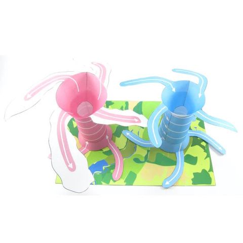 Cyclones & Anticyclones