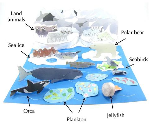 Arctic Ecosystem