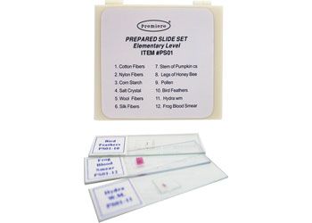 Prepared slide set 12 slides Basic