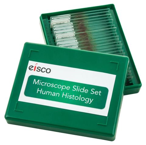 Microscope slides set Human Histology