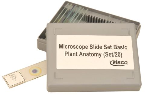 Prepared slide set - Plant Anatomy