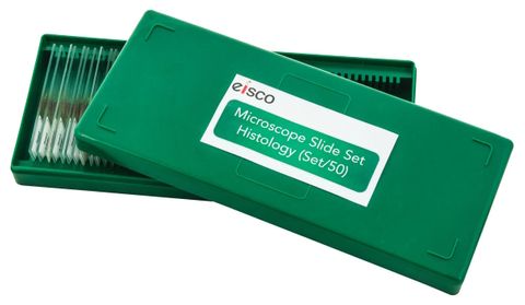 Microscope slides set Histology