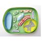 Simple Plant Cell