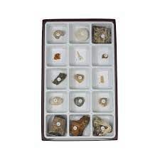 Fossils - General collection (USA)