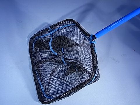 Net long handle 92cm - 25x17cm net