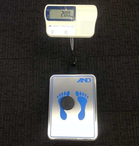 Scale personal 220kg x 0.02kg