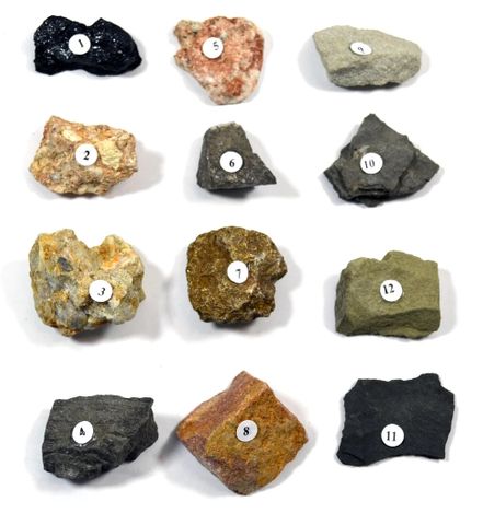 Sedimentary Rock kit set 12 specimens