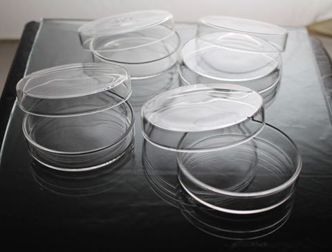 Petri dish soda glass 100x20mm Steriplan