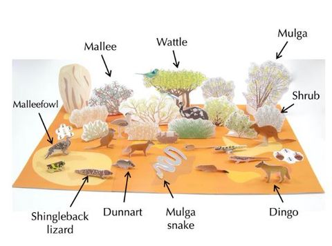 Australian Scrublands Ecosystem
