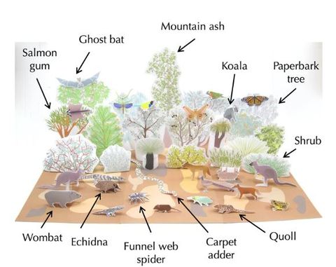 Australian Woodlands & Forests