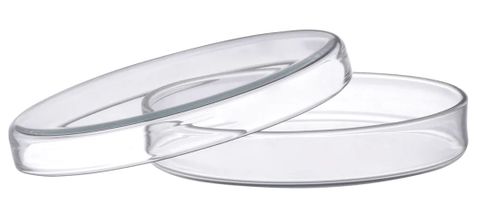 Petri dish soda glass 100x20mm