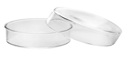 Petri dish borosilicate glass 80x20mm