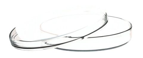 Petri dish borosilicate glass 100x20mm