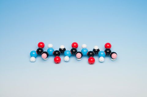 Molymod Polypeptide chain (5 units)