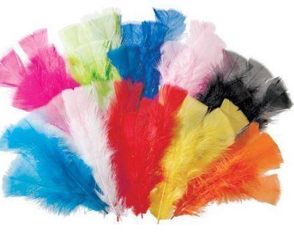 Feathers assorted  pk/240