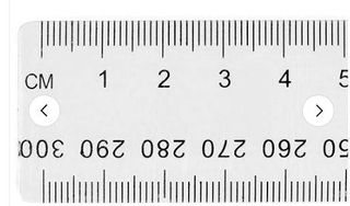 Ruler