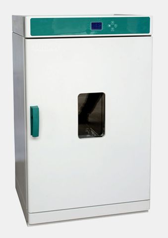 Incubator Economy 230lt fan forced 120C